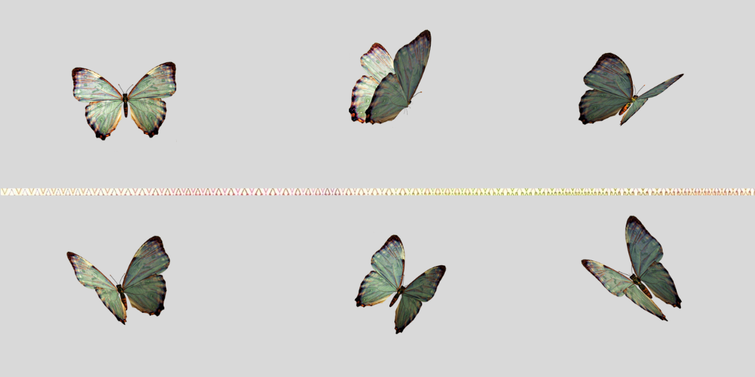 Slow Wealth: How I Started Investing in the Nigerian Stock Exchange with ₦15,000