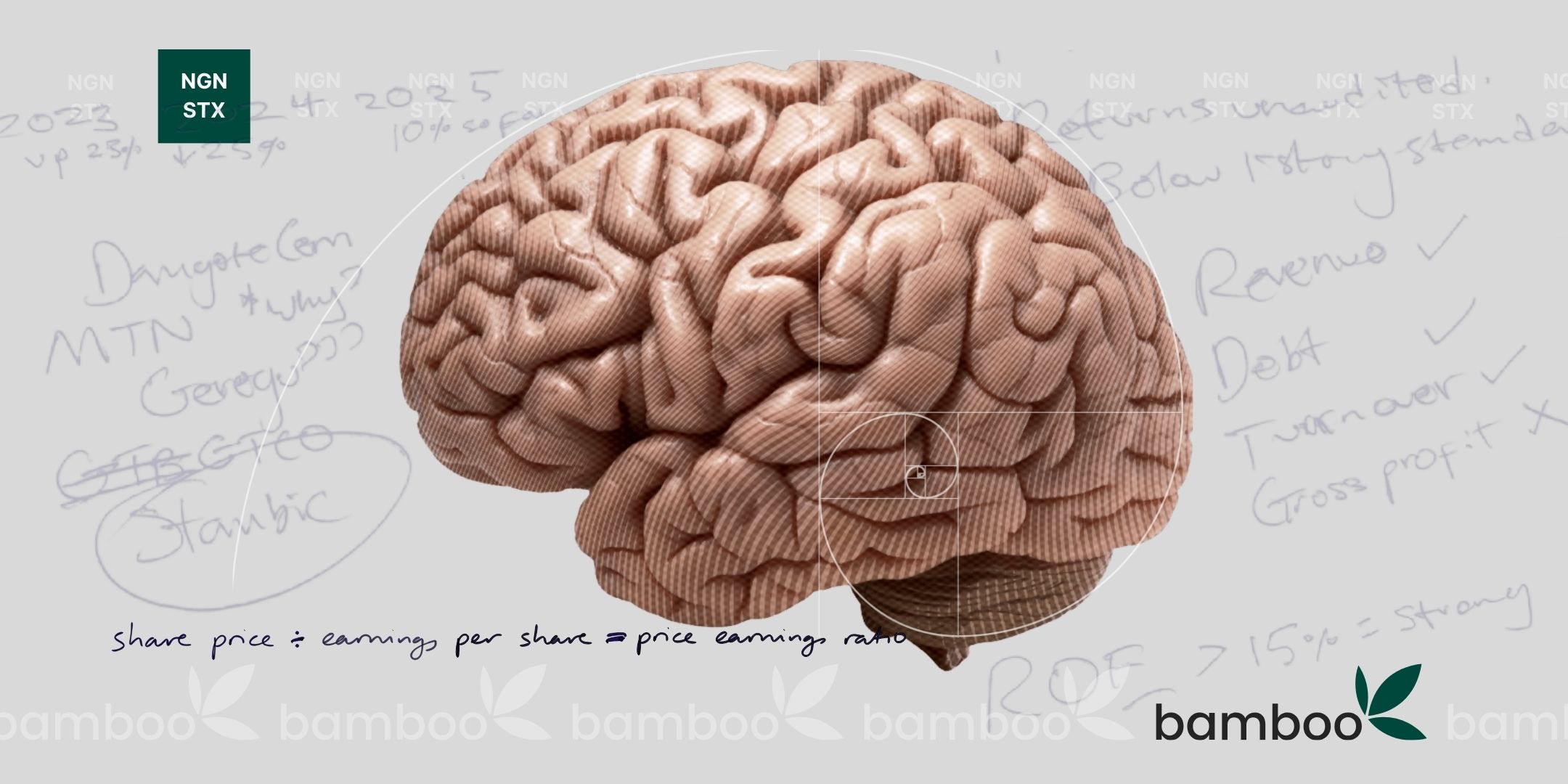 Napkin Math and Nigerian Stocks: A Beginner’s Guide to Reading Reports Without Losing Your Mind